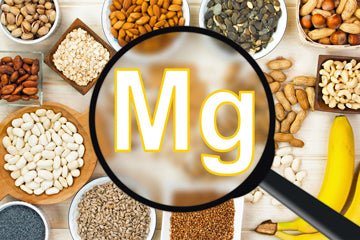 The Benefits of Magnesium - Day One Performance